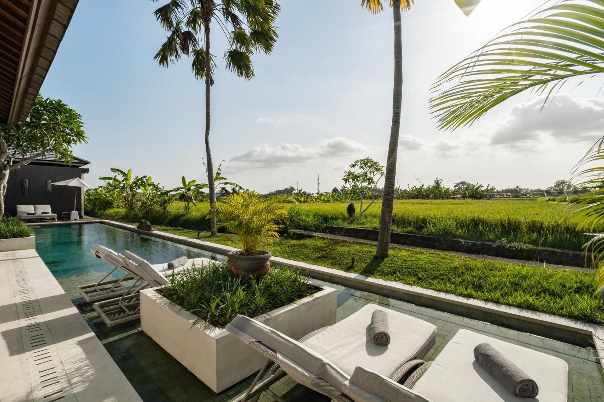 Villa Mimpi By Balisuperhost أوبود المظهر الخارجي الصورة